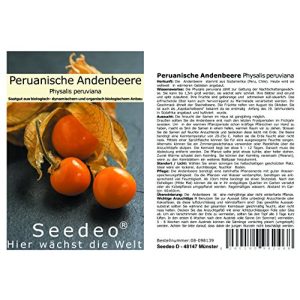 Physalis-Samen Seedeo Gemüse Raritäten Seedeo Peruanisch