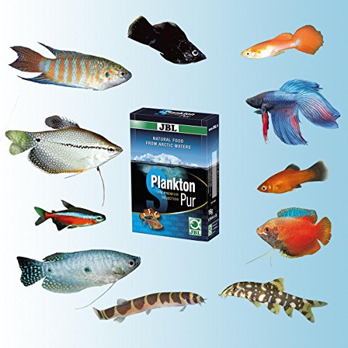 Plankton JBL Pur 30031, für kleine Aquarienfische, 8 Sticks, 2 g