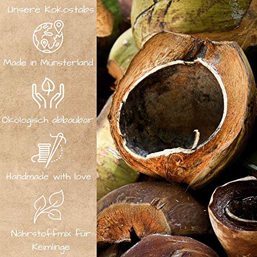 Quelltabletten Loveplants Kokos mit Nährstoffen, 42 Stück
