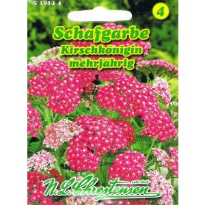 Schafgarbe-Samen Chrestensen Schafgarbe Kirschkönigin rot