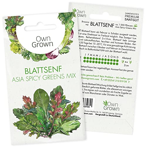 Die beste senf samen owngrown blattsenf samen mix ca 1000 pflanzen Bestsleller kaufen