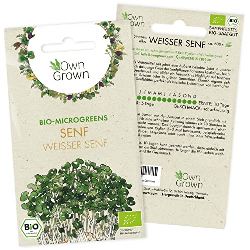 Die beste senf samen owngrown microgreens 600 bio senfkoerner Bestsleller kaufen