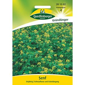 Senf-Samen Quedlinburger Weißer Senf