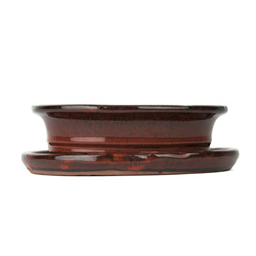 Sukkulenten-Schale Inter Flowers GmbH Keramik, oval für Bonsai