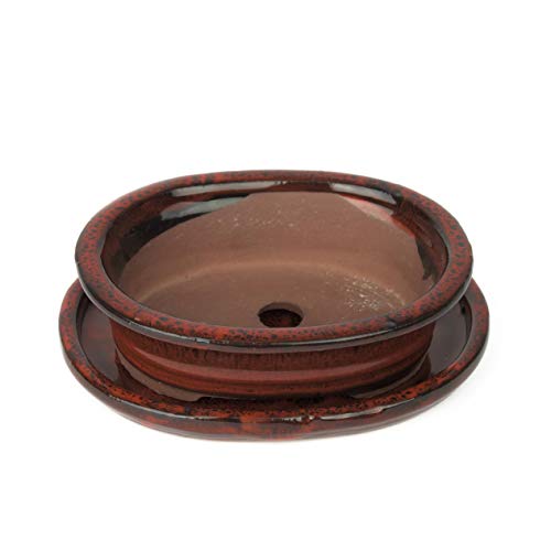 Sukkulenten-Schale Inter Flowers GmbH Keramik, oval für Bonsai