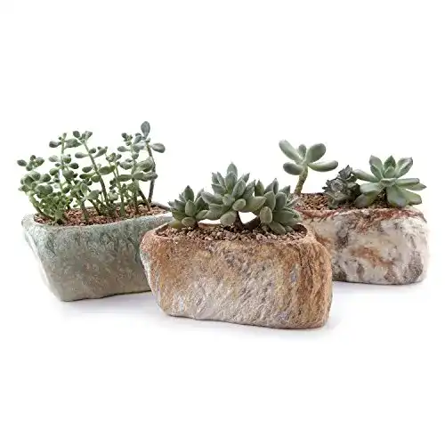 Sukkulenten-Schale T4U Steinform Sukkulenten Töpfchen 3er-Set