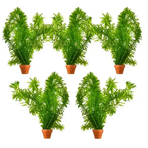 Wasserpest S VD VELDE WATERPLANTEN VDVELDE Set Winterhart