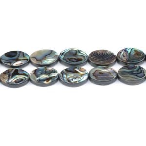 Abalone-Muschel Charming Beads, Regenbogen Flach Oval