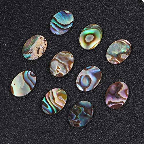Abalone-Muschel EXCEART 10 Stück -Perlen, oval, natürlich, flach