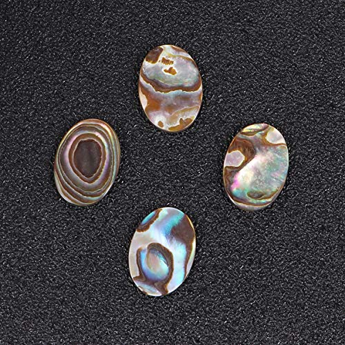 Abalone-Muschel EXCEART 10 Stück -Perlen, oval, natürlich, flach