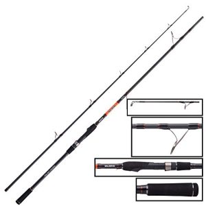 Balzer fishing rods