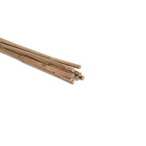 Bambusstäbe Novatool 50x Tonkinstäbe 75 cm,  ø 6 – 8 mm, Braun