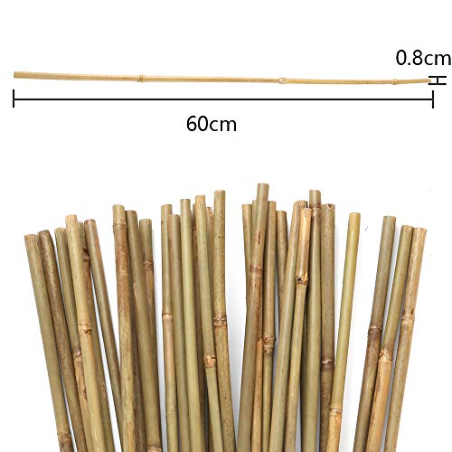 Bambusstäbe Pllieay 25 Stück 60 cm aus natürlichem Bambus
