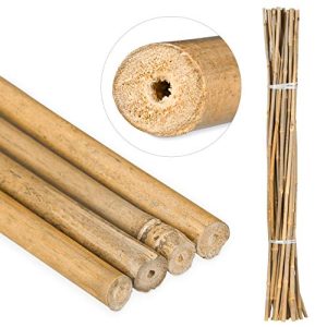 Bambusstäbe Relaxdays 105cm, natürlicher Bambus, 25 Stück
