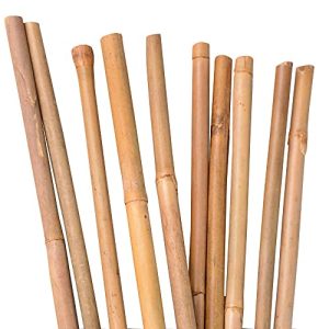 Bambusstäbe UNUS, zur Stabilisierung 120 cm, 10 Stück