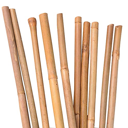 Die beste bambusstaebe unus zur stabilisierung 120 cm 10 stueck Bestsleller kaufen