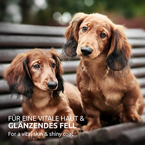 Barf-Öl AniForte Barf Futteröl für Hunde 500ml, kaltgepresst
