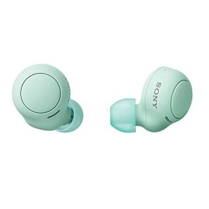 Bluetooth-Kopfhörer bis 100 Euro Sony WF-C500 True Wireless