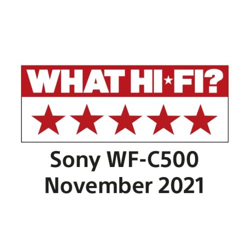 Bluetooth-Kopfhörer bis 100 Euro Sony WF-C500 True Wireless