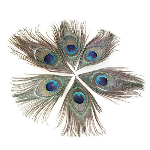 Deko-Federn WINOMO 100 Stück 25-30 cm, natürliche Federn
