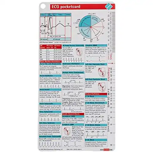 EKG-Lineal Borm Bruckmeier Publishing ECG Pocketcard