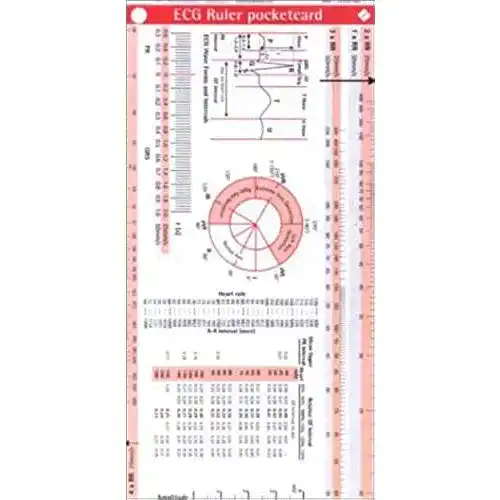 EKG-Lineal Brand: BORM BRUCKMEIER PUBLISHING ECG Ruler