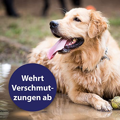 Entfilzungsspray Hund Canosept Fellpflegespray für Hunde 250ml