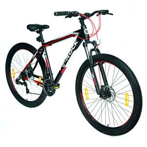 Fahrrad bis 300 Euro E-ROCK Mountainbike EX-7 Hardtail 29 Zoll