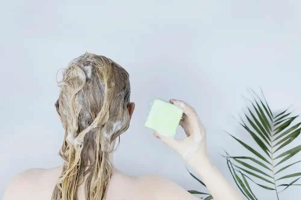 festes-shampoo festes-shampoo