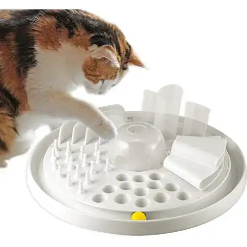 Fummelbrett Katze