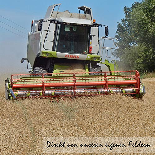 Futterweizen Petigi 5-30 kg Weizen gereinigt, Ernte 2021