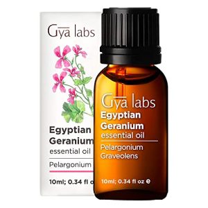 Geraniumöl Gya Labs Ägyptisches Geranien-Öl 10 ml 100% rein