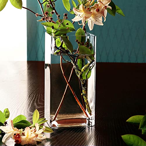 Glasvase Casa Vivente Eckige Blumenvase aus Klarglas