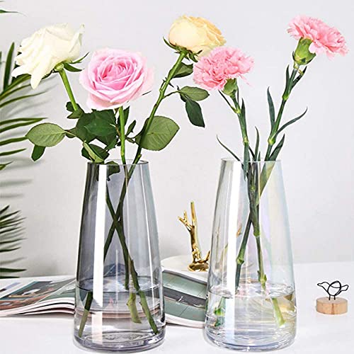 Glasvase Konische Vase dekorative Blumenpflanze Knospenvasen