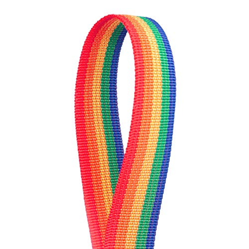 Gurtband TUKA-i-AKUT 91 Meter x 25mm PP, 1,1mm, Regenbogen