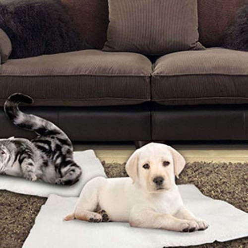 Heizdecke Hund Milai Selbstheizende Decke für Katzen & Hunde