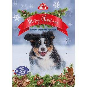 Hunde-Adventskalender 8in1 2022 mit 24 Leckerlis und Snacks