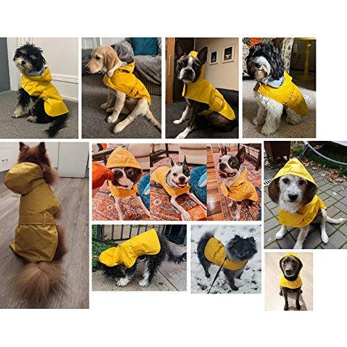 Hunde-Regenmantel LeerKing Hunderegenjacke mit Futter