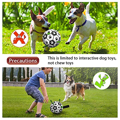Hundeball HETOO Interaktives Hundespielzeug, mit Greif-Laschen