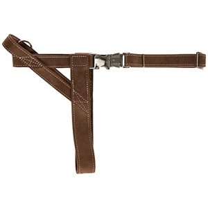 Dog harness leather