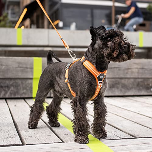 Hundegeschirr mit Brustring DOG Copenhagen V2 Walk Harness