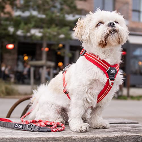 Hundegeschirr mit Brustring DOG Copenhagen V2 Walk Harness