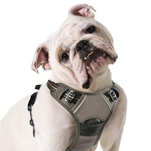 Hundegeschirr mit Brustring Eagloo Sicherheitsgeschirr