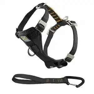Hundegeschirr mit Brustring