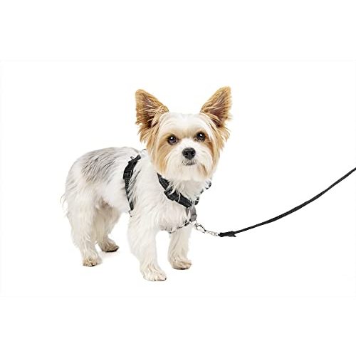 Hundegeschirr mit Brustring PetSafe 3-in-1, mit Rückhaltegurt