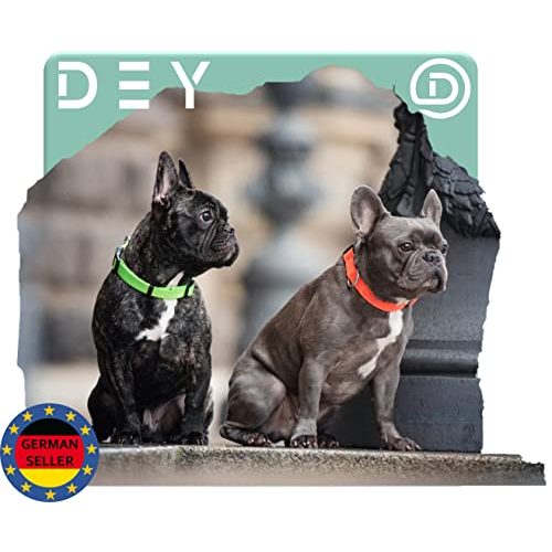 Hundehalsband Welpen DEY Premium Hundehalsband Nylon