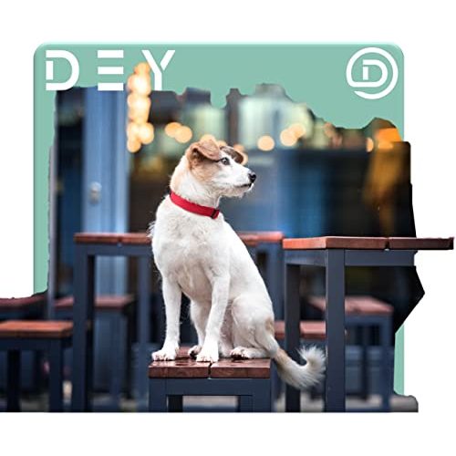 Hundehalsband Welpen DEY Premium Hundehalsband Nylon