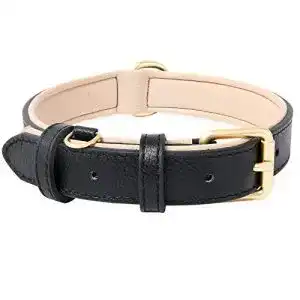 Die beste Hundehalsband Welpen 2026 Test Bestseller Hundehalsband Welpen