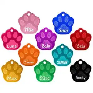 Die beste Hundemarke 2026 Test Bestseller Hundemarke