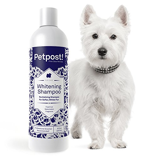 Hundeshampoo (weißes Fell) Petpost, aufhellend, 237 ml